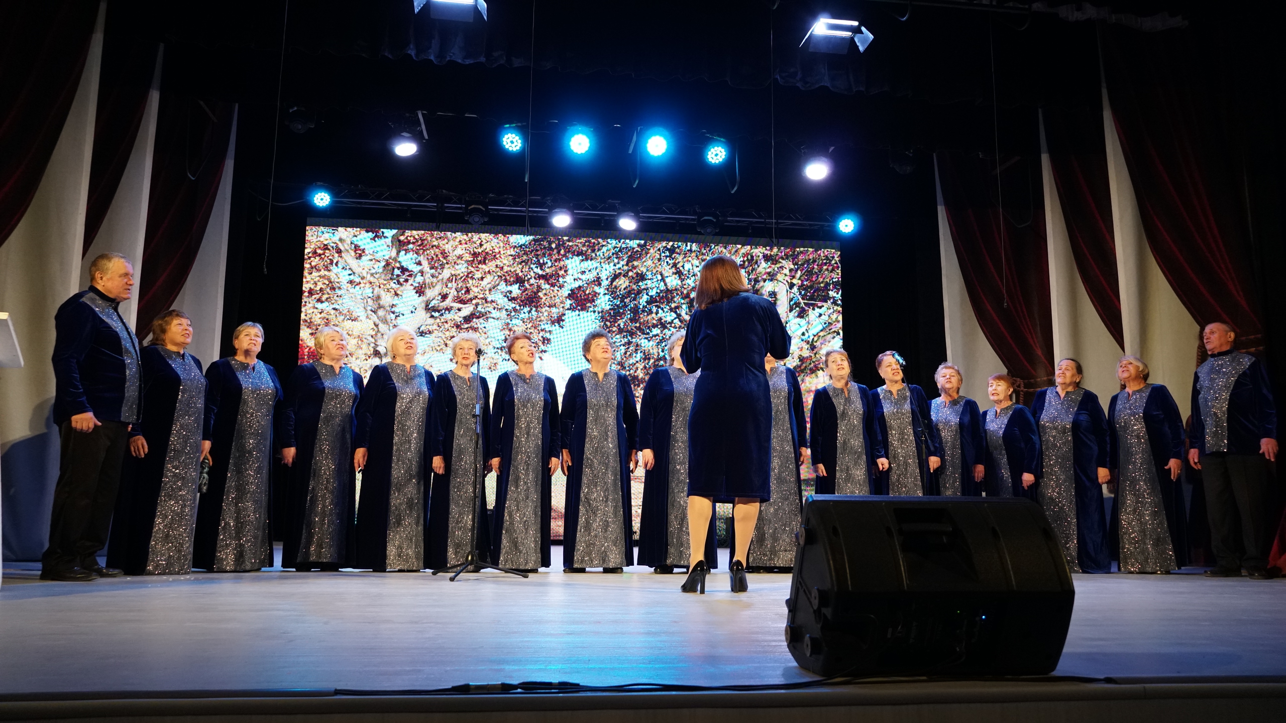 Хор ветеранов  «Лада»